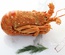 Premium Tasmanian/S.A Crayfish Approx 1kg (Price per Crayfish)
