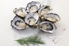 Fresh Oysters 1 Dozen (Price Per Dozen)