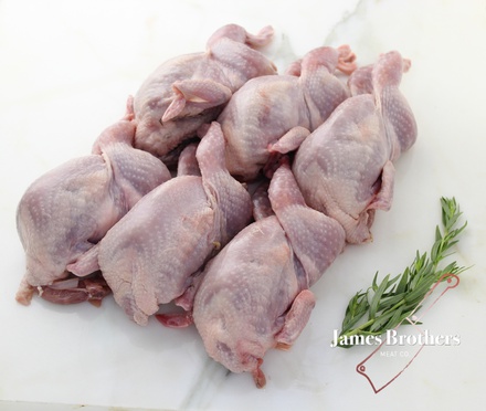 WILD CAUGHT LARGE QUAIL (Price per 6pack)